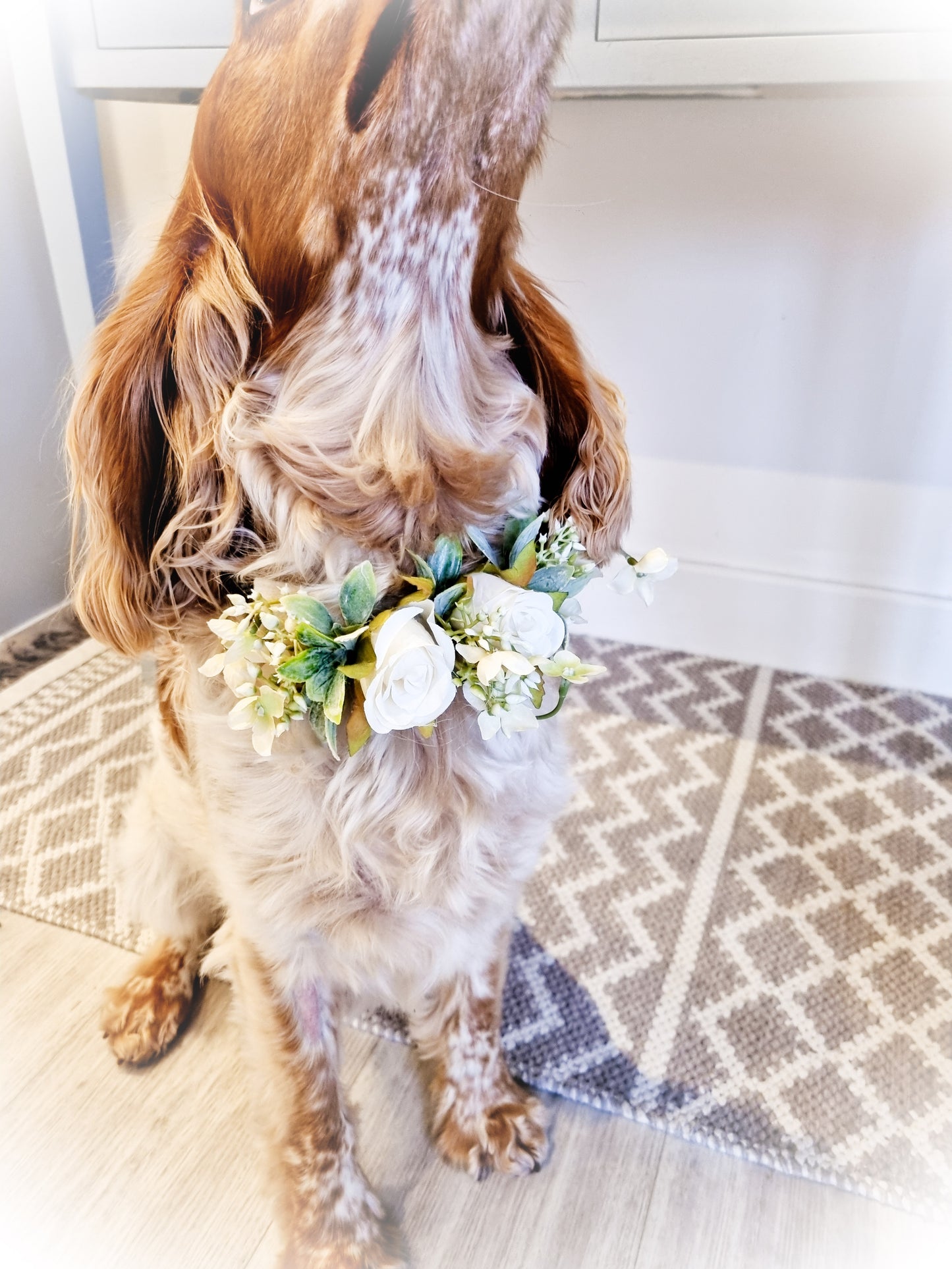 Flower dog collar